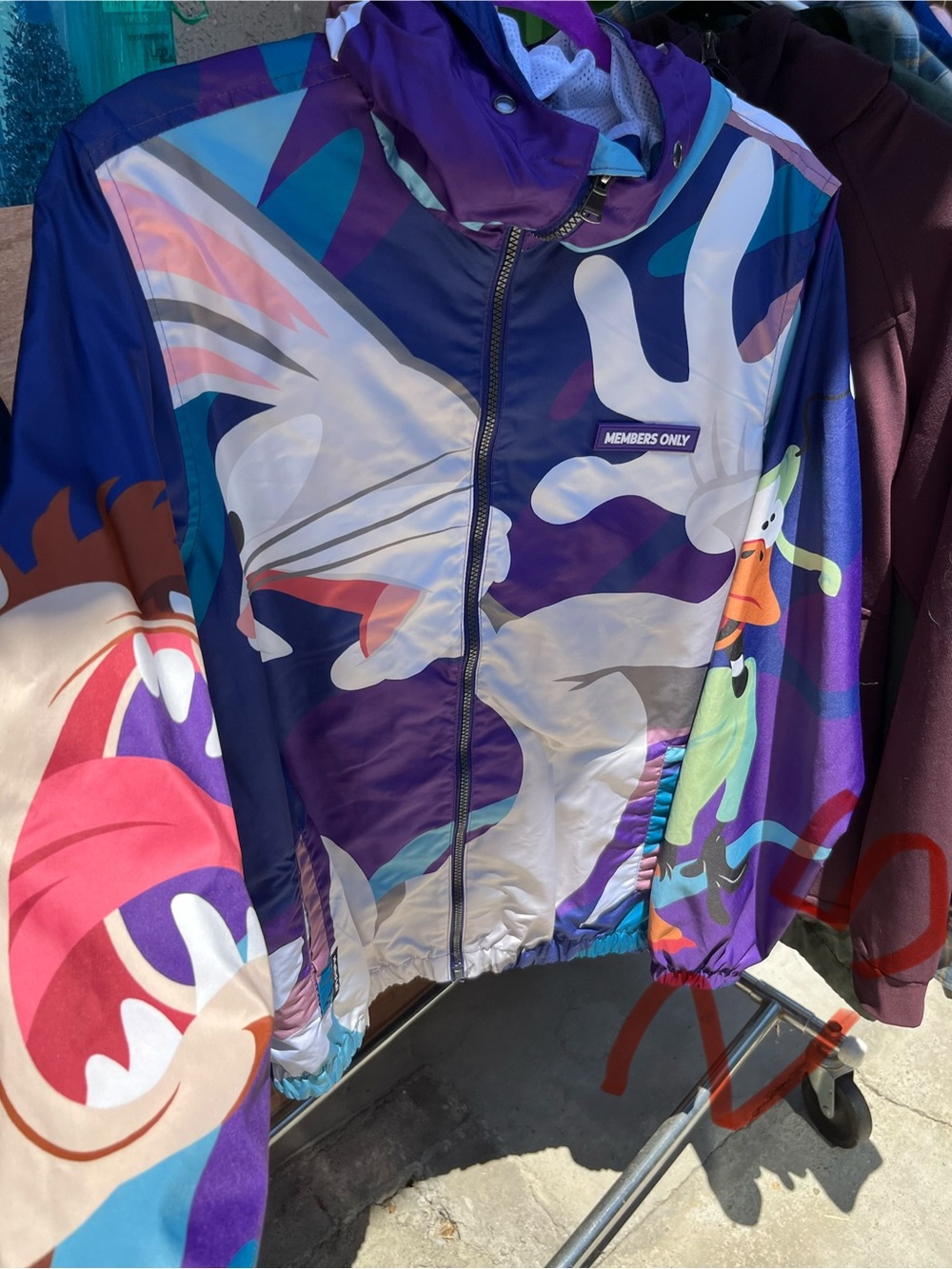 Warner Bros. Multicolor Cartoon-Print Bomber Jacket - Purple, Blue, Pink, Green